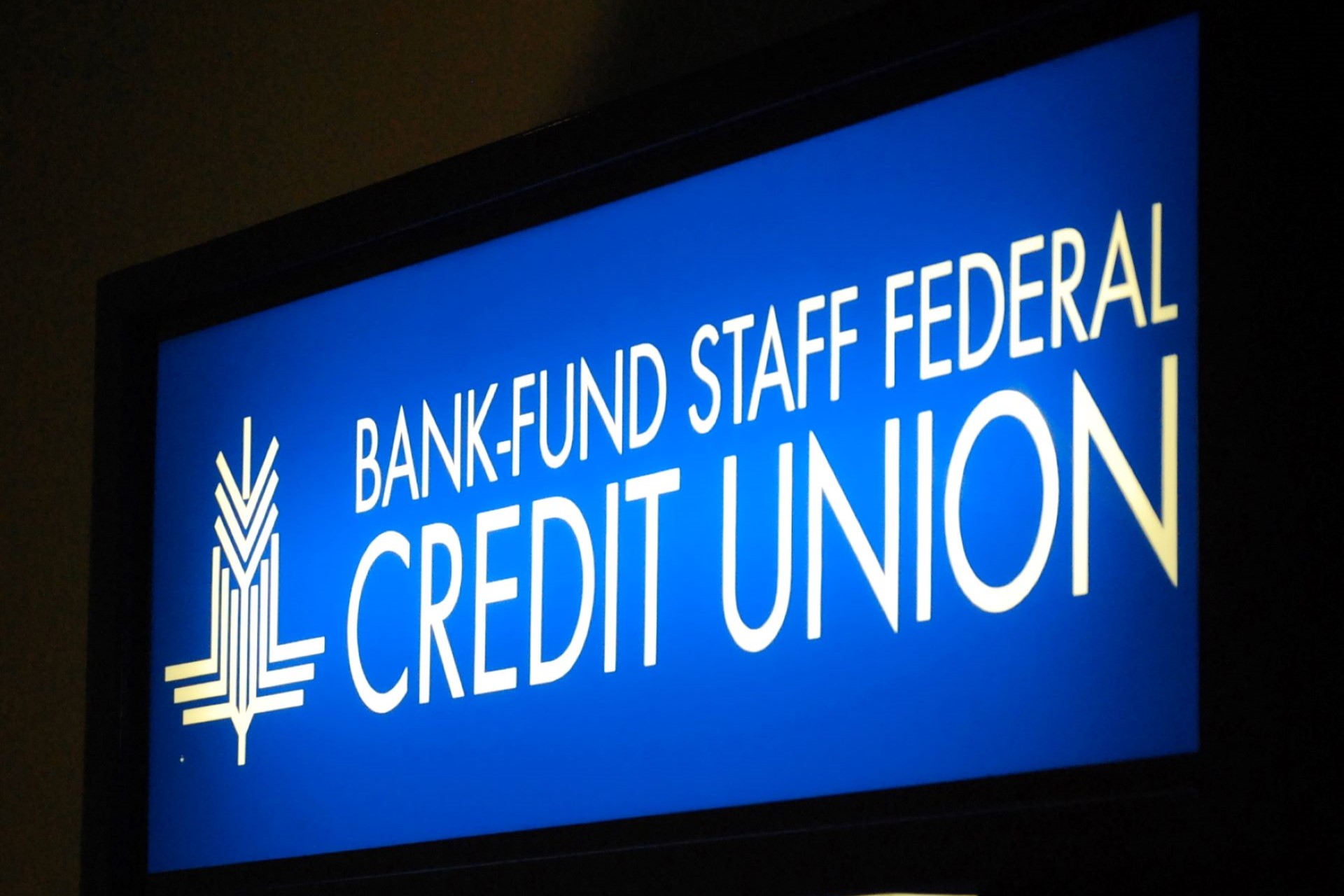 Credit Unions vs Banks: Understanding the Differences